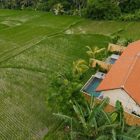 Uma Rimbun Pool Villa By Uniquecations Ubud Exterior foto