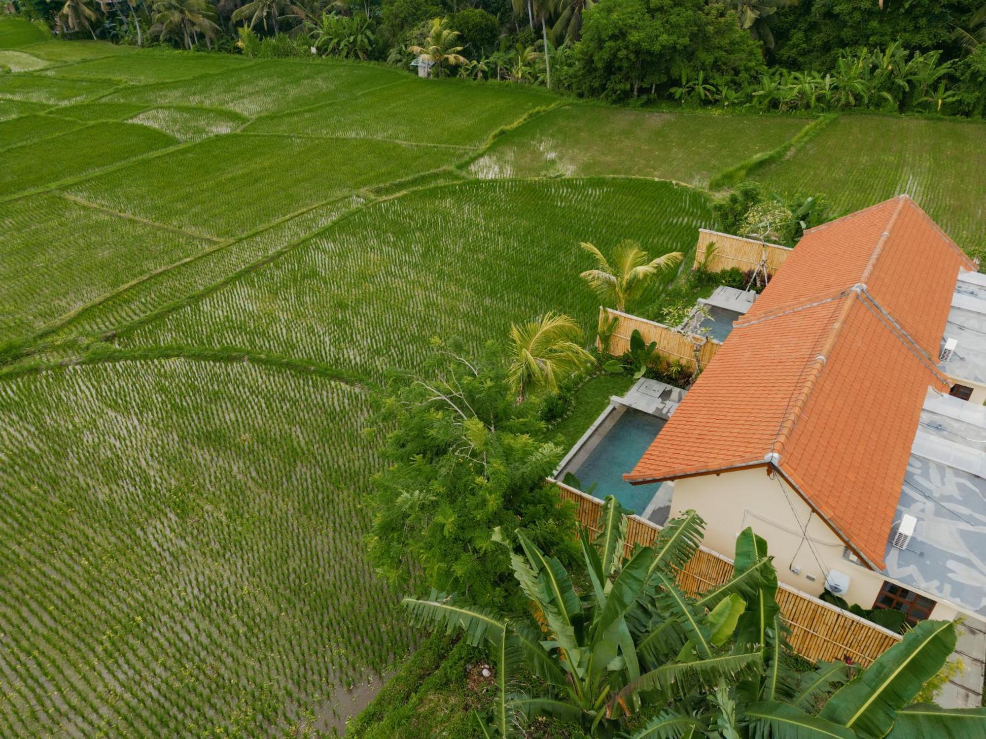 Uma Rimbun Pool Villa By Uniquecations Ubud Exterior foto